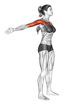 Standing Phelps exercise demonstration for Back, and Chest, and Shoulders, Body weight