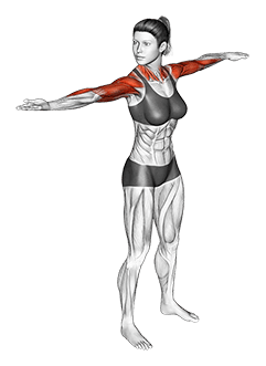 Standing Wring the Towel exercise demonstration for Upper Arms, Body weight