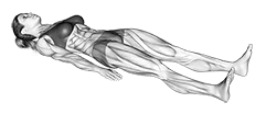 Lying Glute Squeeze exercise demonstration for Hips, Body weight