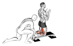 Assisted Inverse Leg Curl exercise demonstration