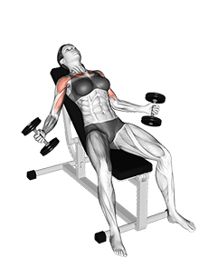Hyght Dumbbell Fly exercise demonstration for Chest, Dumbbell
