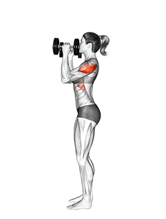 Dumbbell Scott Press exercise demonstration for Shoulders, Dumbbell