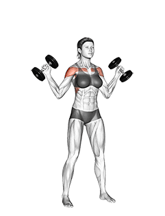 Dumbbell W press exercise demonstration for Shoulders, Dumbbell