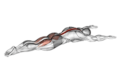 Superman exercise demonstration for Hips, Body weight