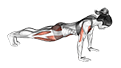 Spider Crawl Push-up exercise demonstration
