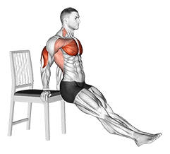 Dip on Floor with Chair exercise demonstration