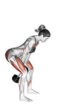 Dumbbell Swing exercise demonstration for Hamstrings, and Thighs, Dumbbell