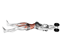Dumbbell V-up exercise demonstration for Hips, and Waist, Dumbbell