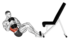 Dumbbell Russian Twist exercise demonstration