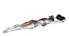 Dumbbell Superman exercise demonstration for Hips, Dumbbell