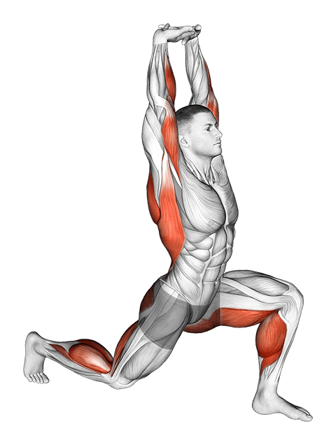 Warming-up in Lunge exercise demonstration for Upper Arms, and Thighs, Body weight