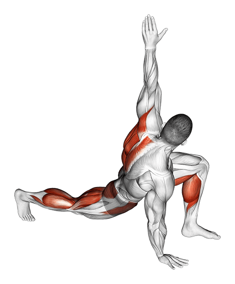 Warming-up in Lunge exercise demonstration
