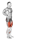 Forward Lunge exercise demonstration