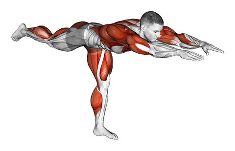 Warrior Pose exercise demonstration for Thighs, Body weight