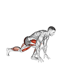 Split Sprinter Low Lunge exercise demonstration