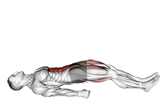 Lying Straight Leg Marches exercise demonstration for Hips, and Waist, Body weight