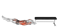 Self Assisted Inverted Pullover exercise demonstration for Back, and Waist, Body weight