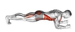 Front Plank with Leg Lift exercise demonstration
