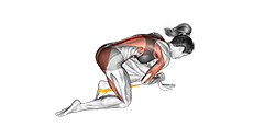 Resistance Band Bird Dog exercise demonstration