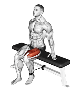 Band Seated Leg Extension exercise demonstration