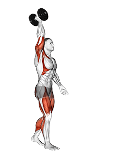 Dumbbell Single Arm Overhead Carry exercise demonstration for Thighs, Dumbbell