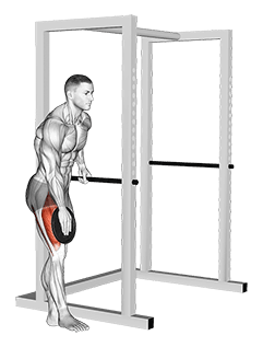Weighted Single Leg Lift exercise demonstration