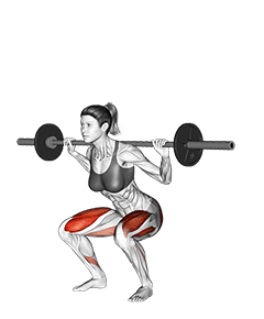 Barbell Squat exercise demonstration for Quadriceps, and Thighs, Barbell