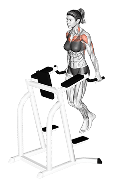 Chest Dip exercise demonstration