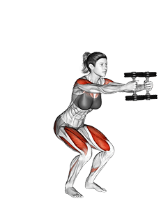 Dumbbell Iron Cross exercise demonstration