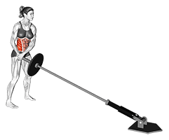 Landmine 180 exercise demonstration for Waist, Leverage machine