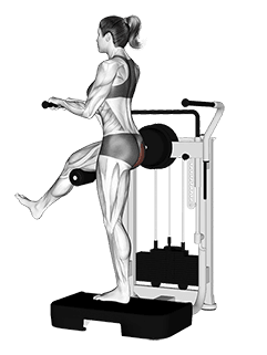 Lever Standing Rear Kick exercise demonstration for Hips, Leverage machine