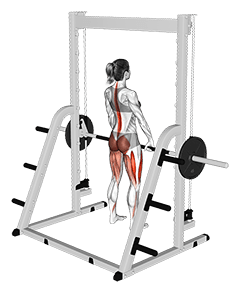 Smith Deadlift exercise demonstration