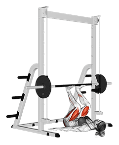 Smith Leg Press exercise demonstration for Quadriceps, and Thighs, Smith machine