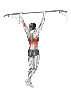 Wide Grip Pull Up exercise demonstration