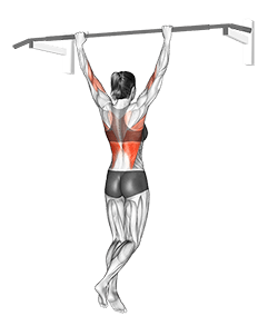 Wide Grip Rear Pull Up exercise demonstration