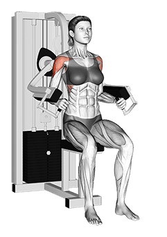Lever Lateral Raise exercise demonstration for Shoulders, Leverage machine