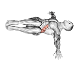 Bent knee Lying Twist exercise demonstration for Hips, Body weight