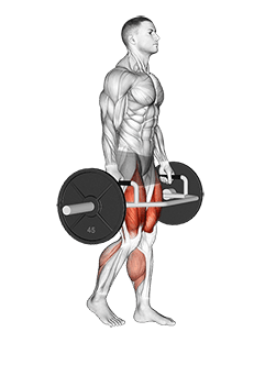 Trap Bar Split Stance RDL exercise demonstration for Hips, Trap bar