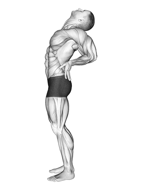 Static Position Standing exercise demonstration for Body weight