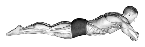 Static Position Lying Front exercise demonstration for Body weight