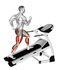 Walking on Incline Treadmill exercise demonstration