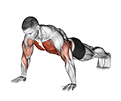 Shoulder Tap exercise demonstration for Chest, and Waist, Body weight