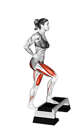 Single Leg Step Up exercise demonstration
