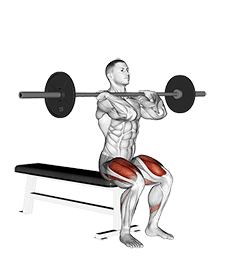 Barbell Front Bench Squat exercise demonstration for Quadriceps, and Thighs, Barbell