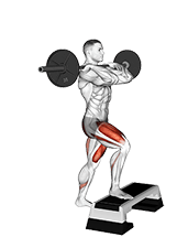 Barbell Front Step Up exercise demonstration for Quadriceps, and Thighs, Barbell