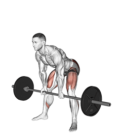 Barbell Sumo Romanian Deadlift exercise demonstration for Hips, Barbell