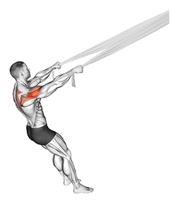 Rear Delt Fly with Bed Sheet exercise demonstration