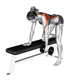 Dumbbell Rear Delt Row exercise demonstration for Back, Dumbbell