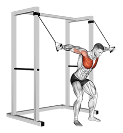 Band high fly exercise demonstration for Chest, Band