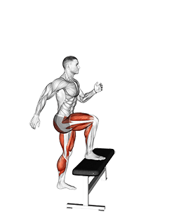 Jump Step-Up exercise demonstration for Cardio, Body weight